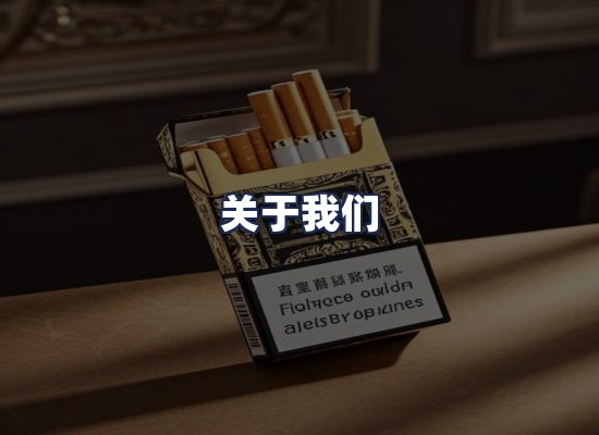 关于我们